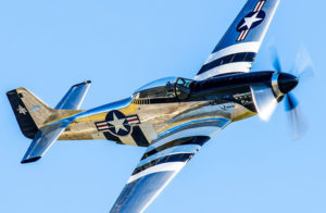 Quicksilver P-51D Mustang
